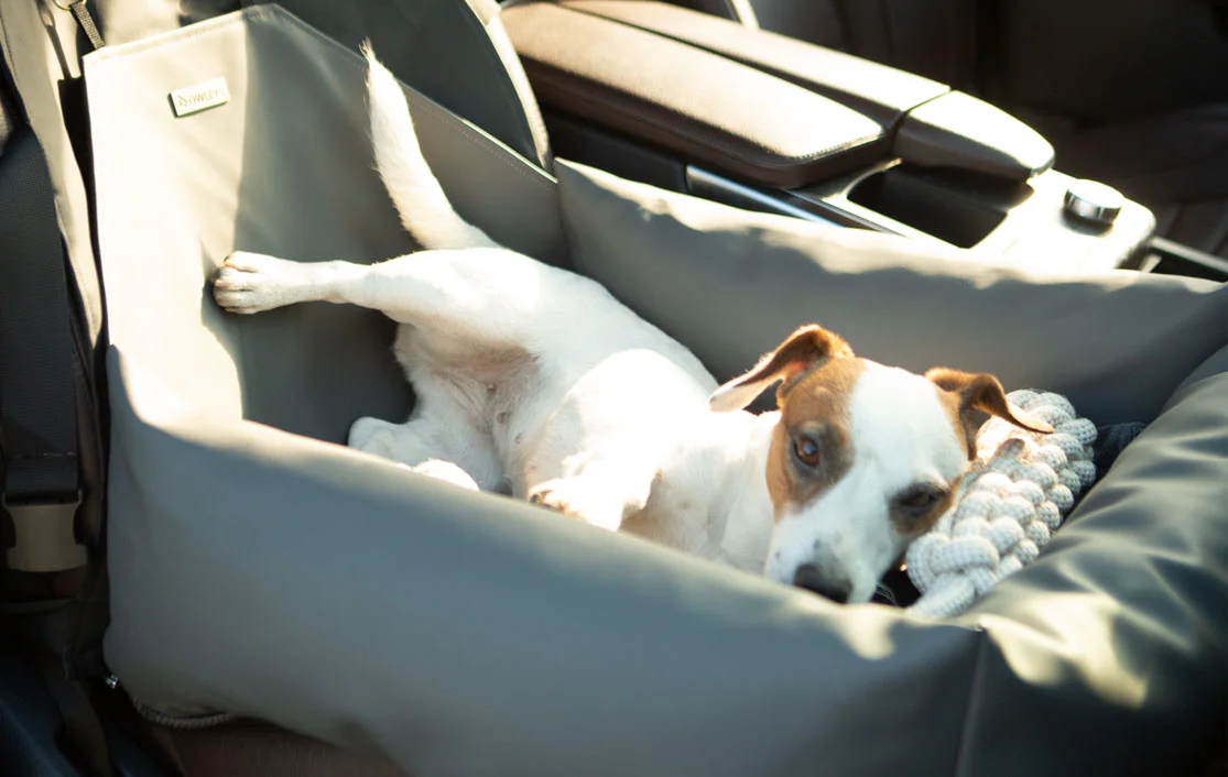 Ford Edge Dog Car Seat for Swedish Vallhunds