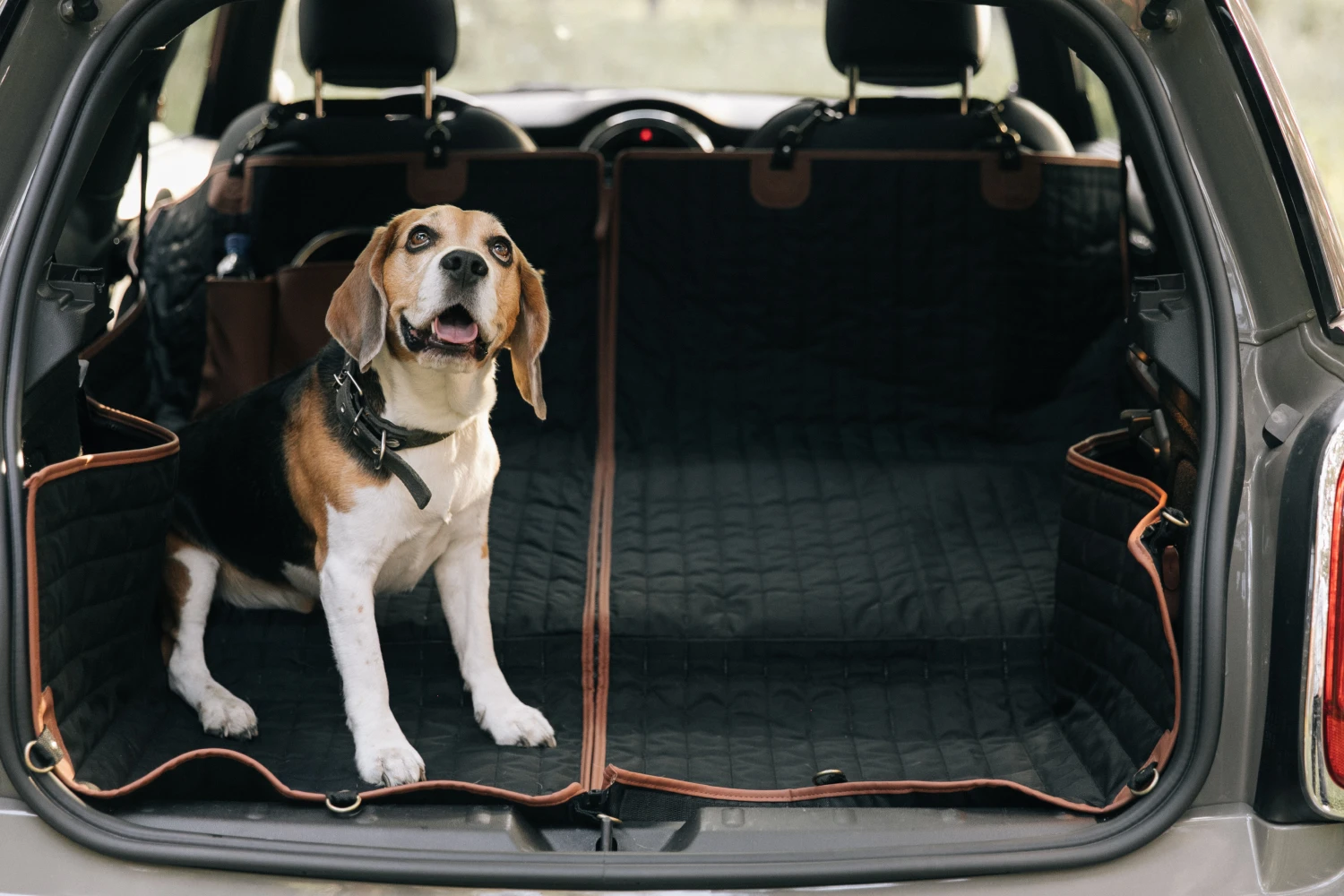 Honda Fit back seat cover for English Cocker Spaniels