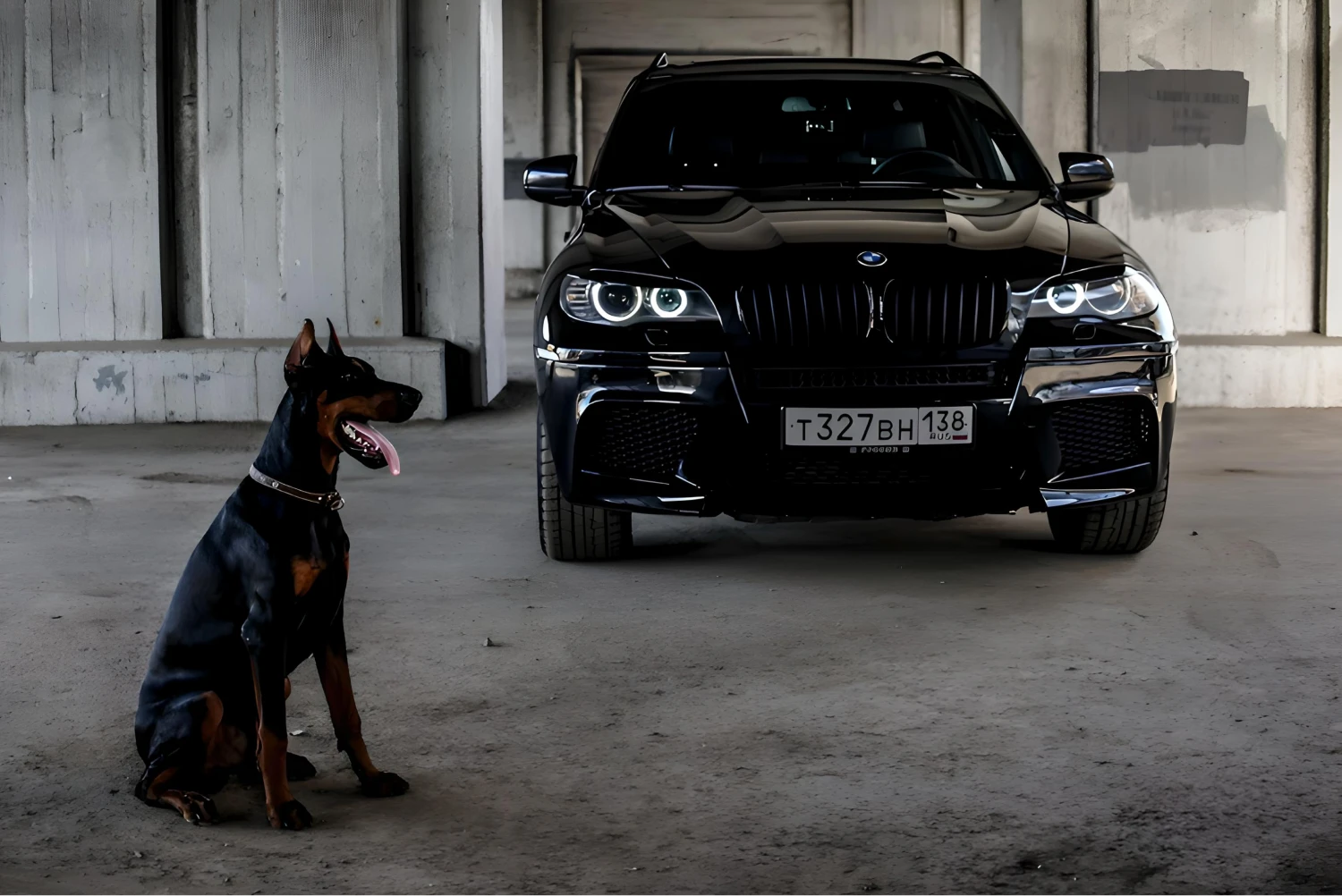 BMW X5 trunk organizer