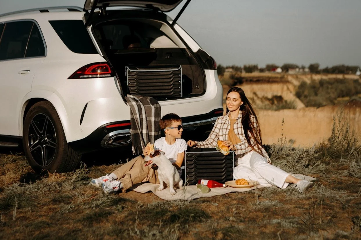 big picnic blanket