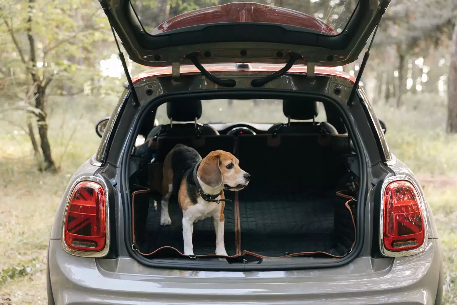 pet seat cover for GMC Sierra