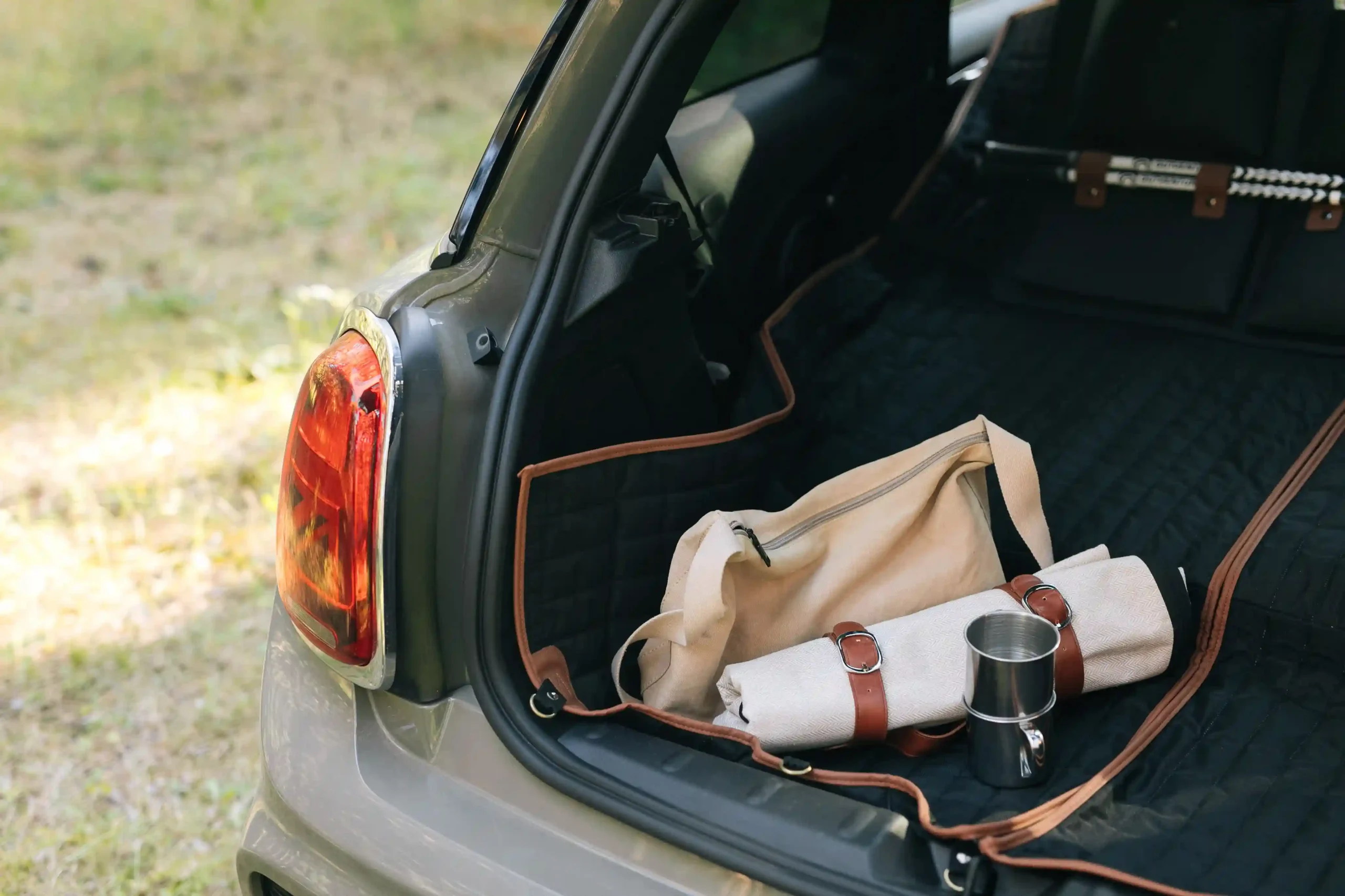 big picnic blanket