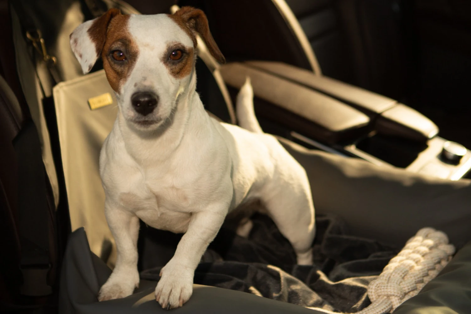 Beagles Dog Car Seat for Honda Fit