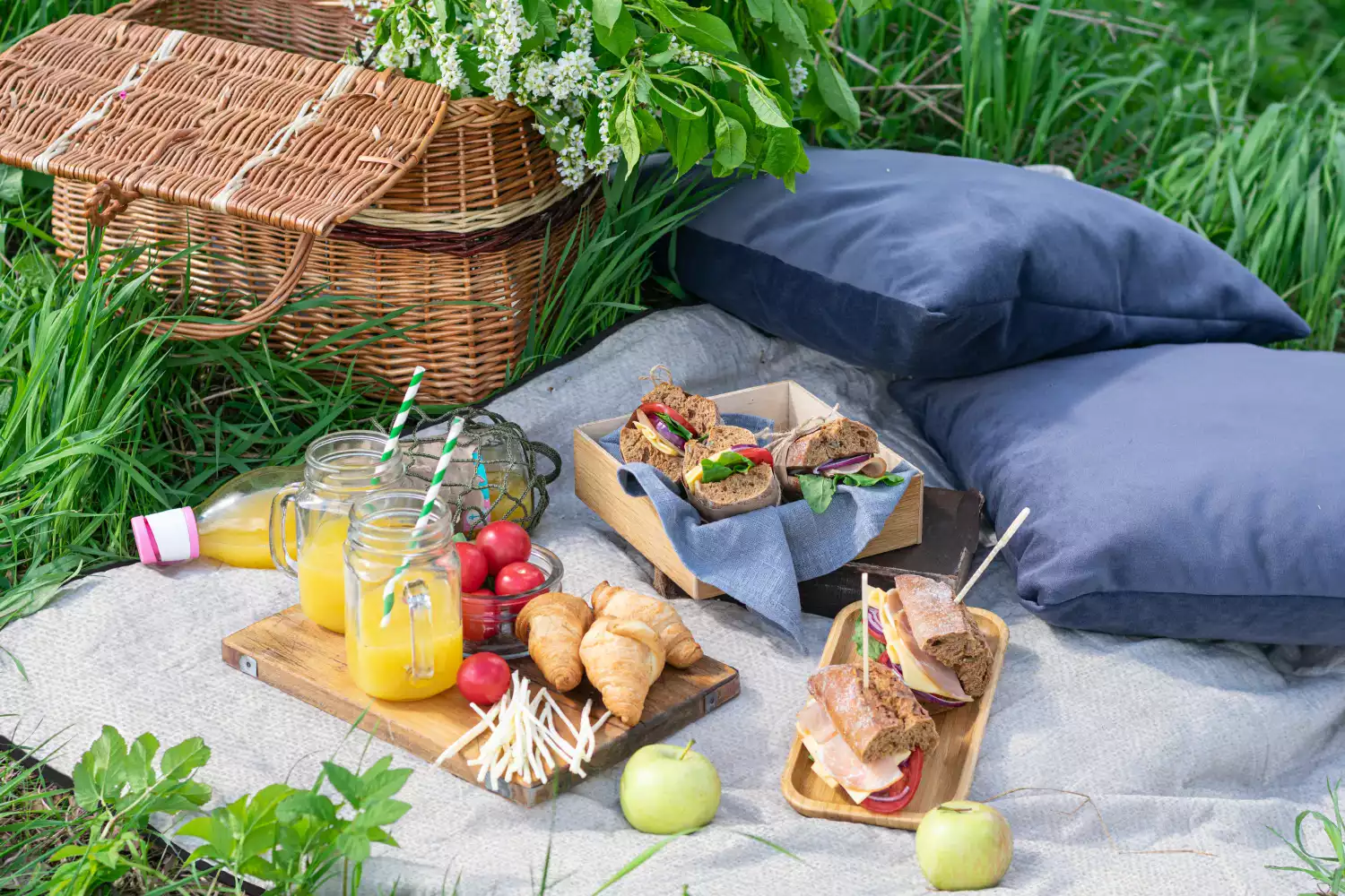 sand proof picnic blanket