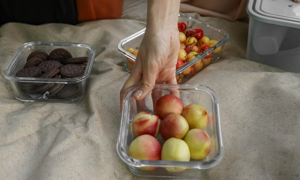 high quality picnic blanket