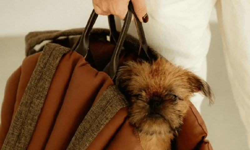 Dog Carrier Purse for Miniature Schnauzer