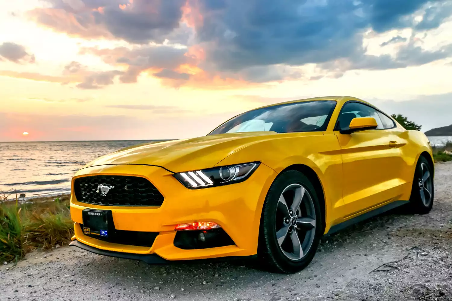 car garbage can for Ford Mustang