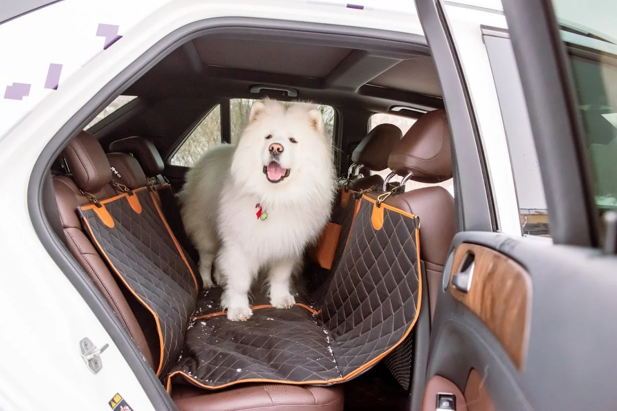 dog back seat cover for Mercedes-Benz GLC