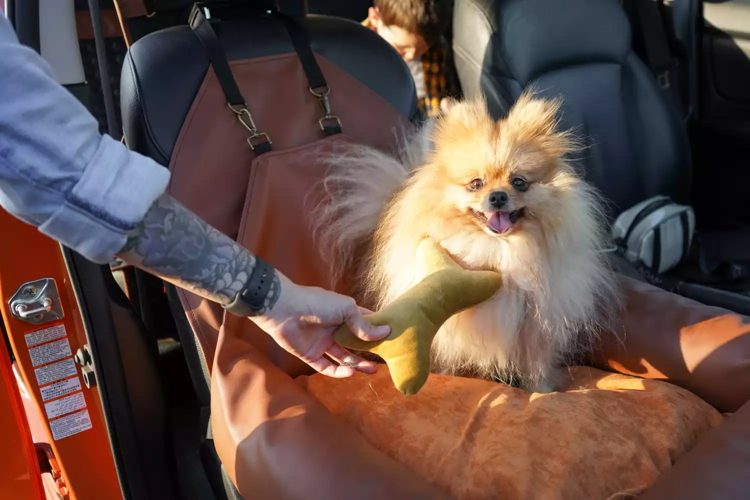 French Bulldogs Dog Car Seat for Buick Encore