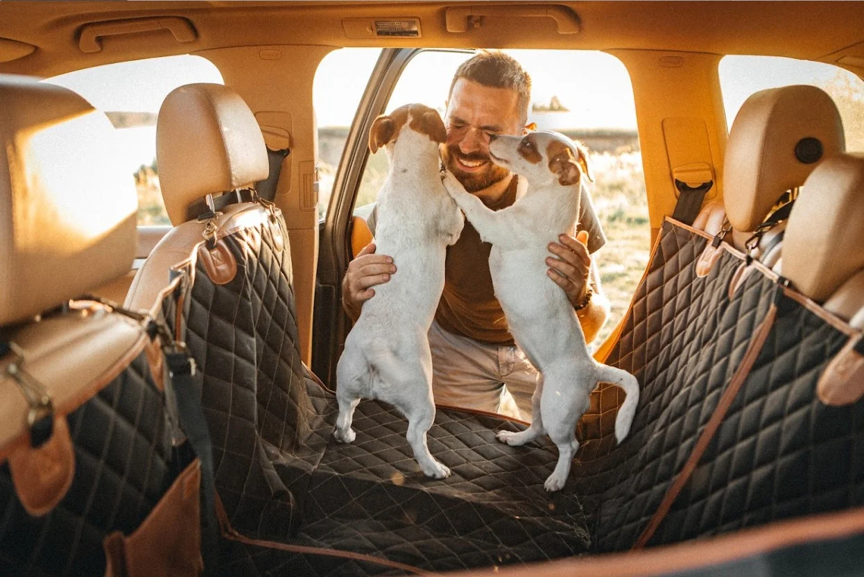 Bichons Frises back seat cover for Audi A4